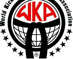 WORLD CUP WKA - Sponsorzy