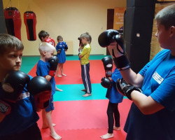 Sala Fight Zone GYM - duży krok na przód i ciekawe wyposażenie